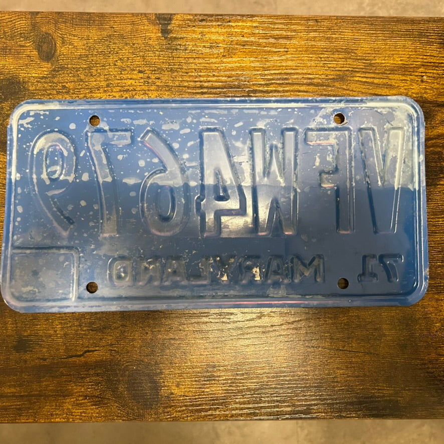 VFW4679