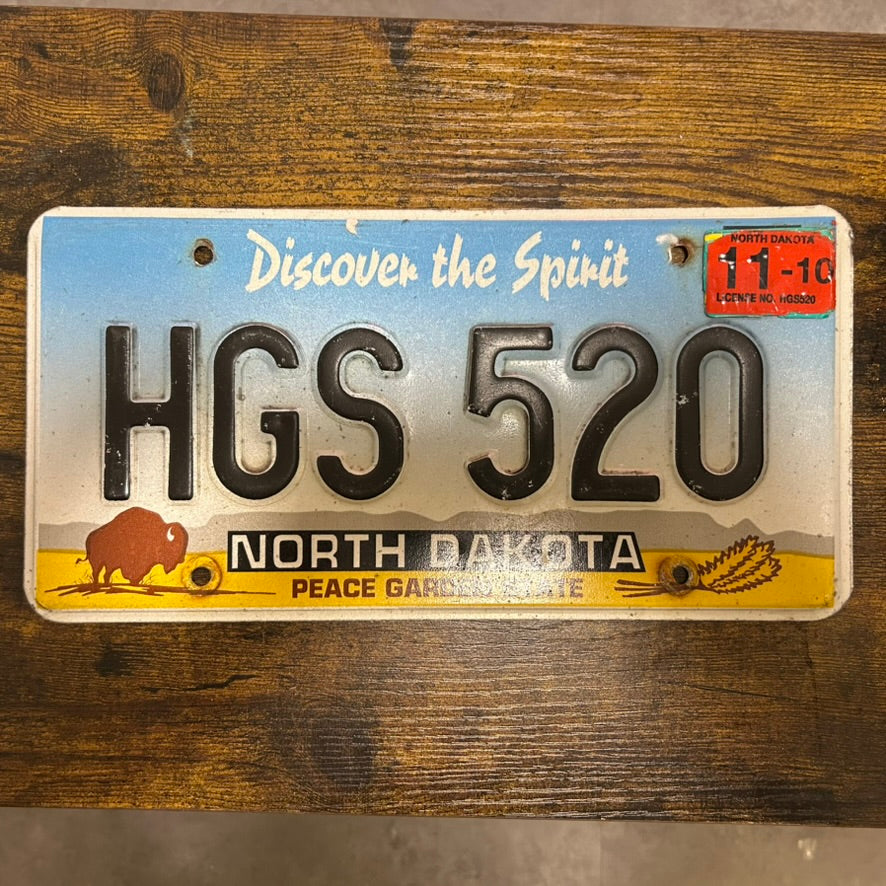 HGS 520
