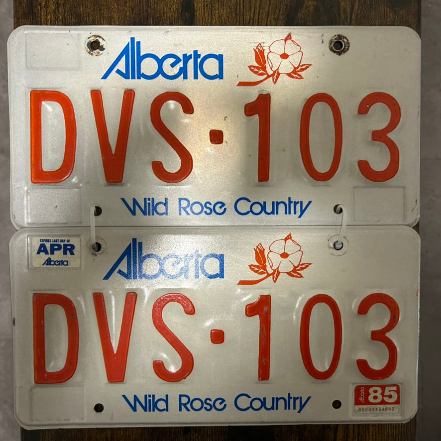 2x Paar DVS-103