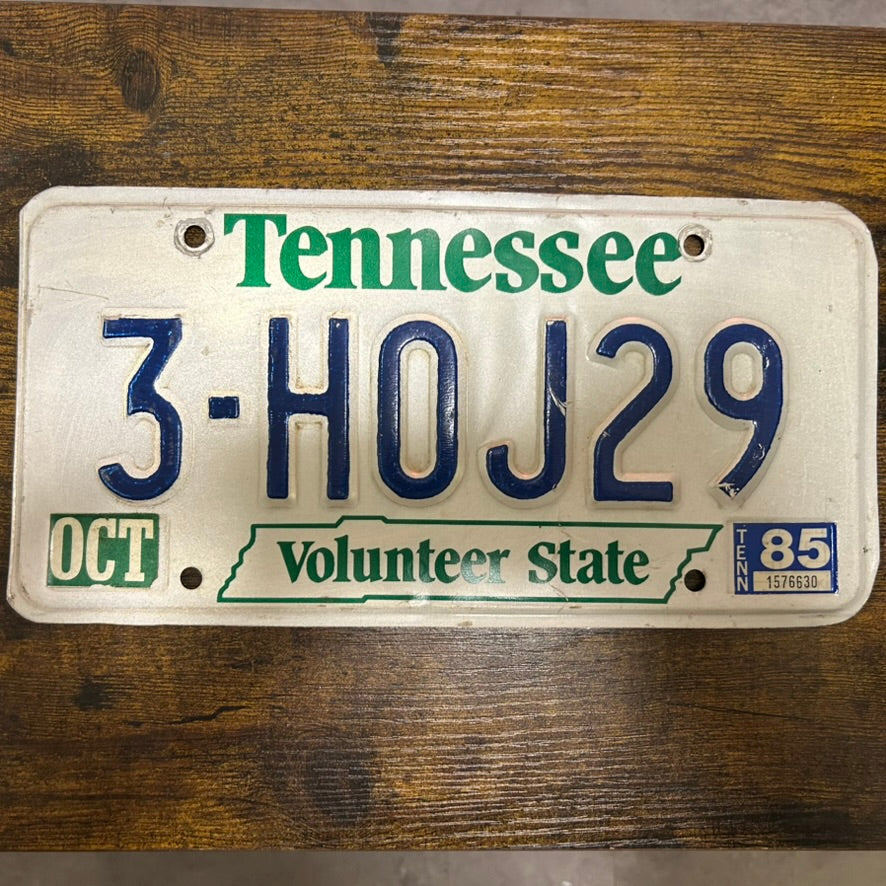 3-H0J29