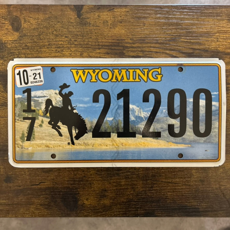 21290