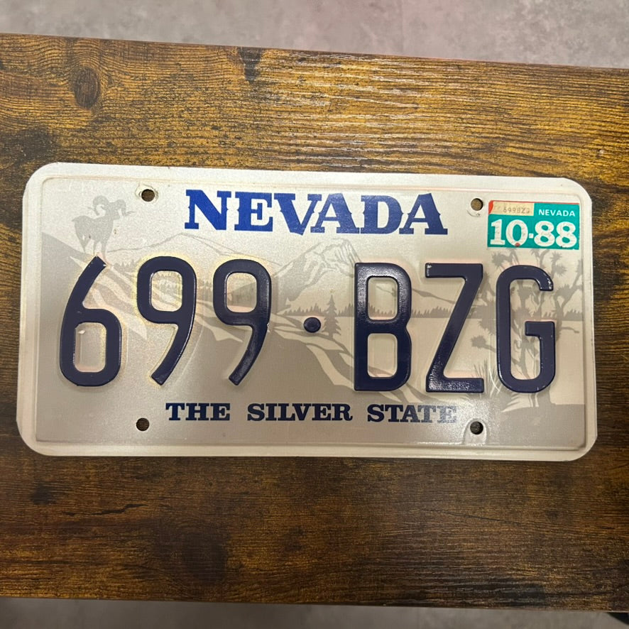 699-BZG