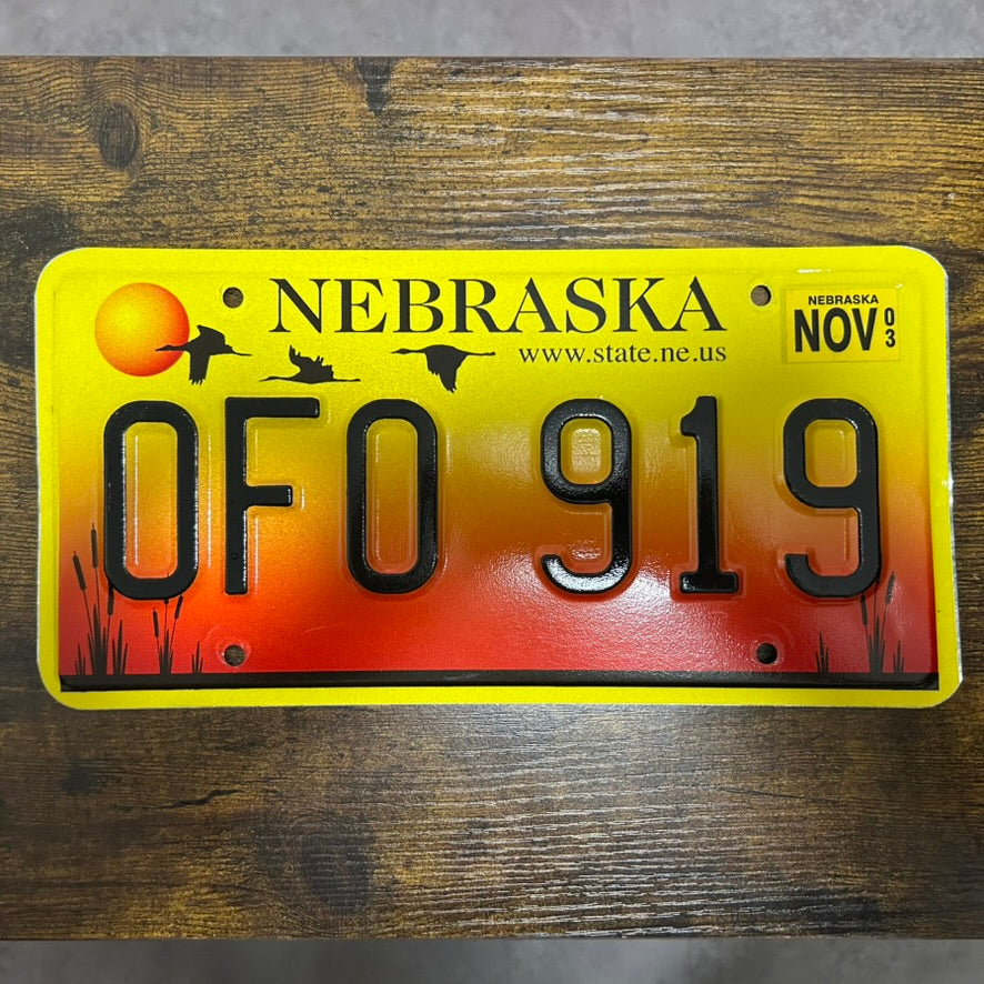 0F0 919