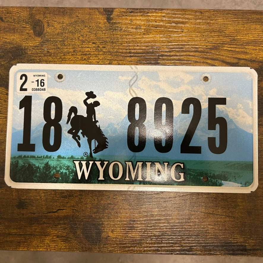 18 8925