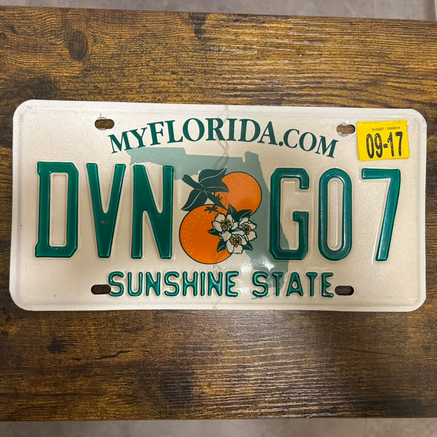 DVN G07