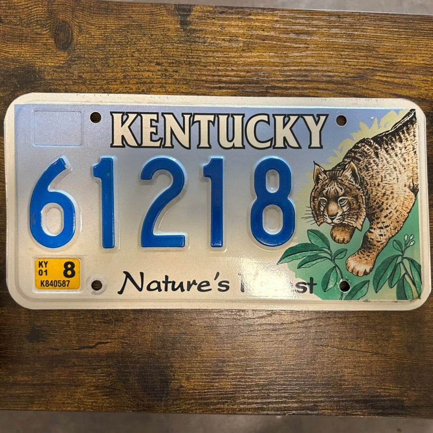 61218