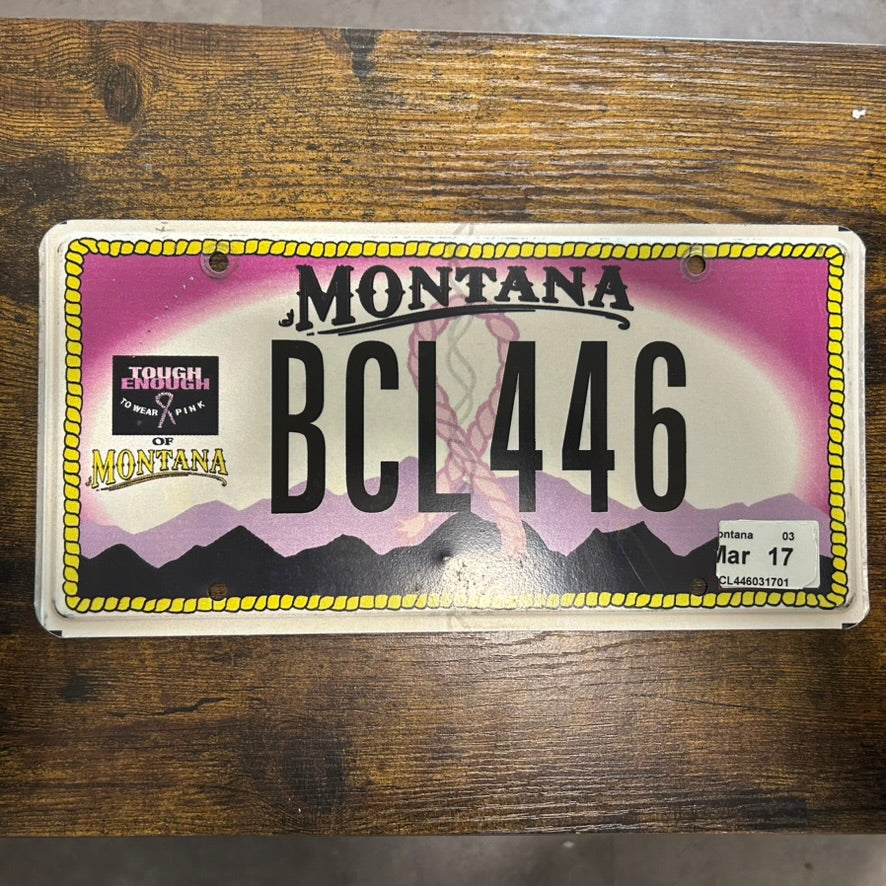 BCL 446