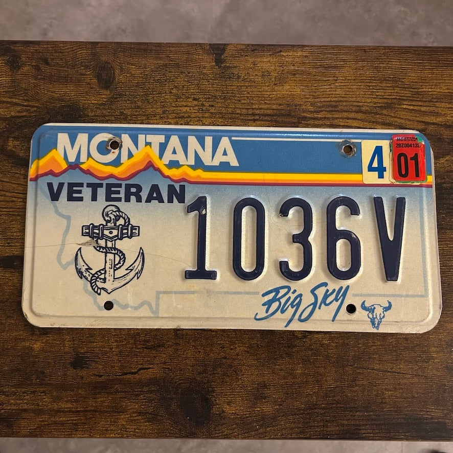 1036V