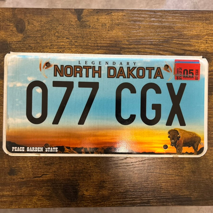077 CGX