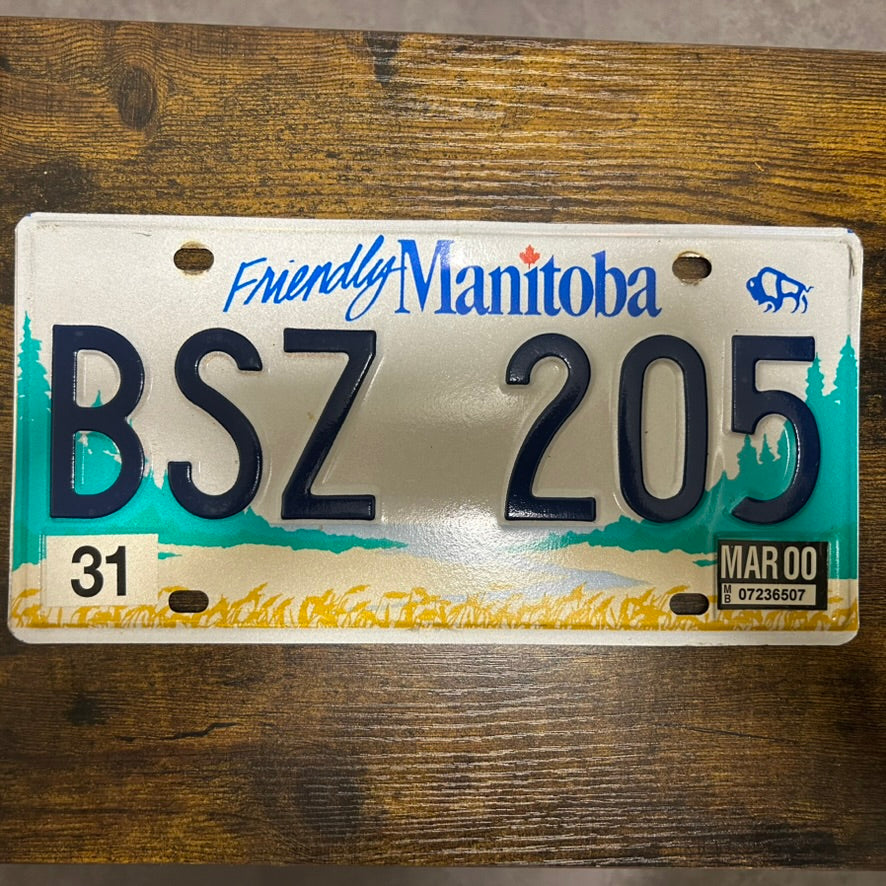 BSZ 205