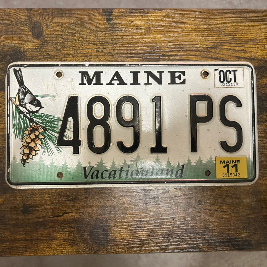 4891 PS