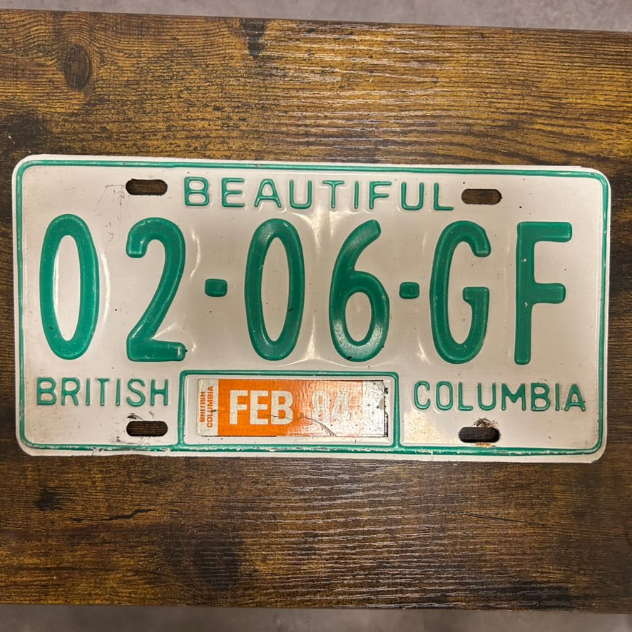 02-06-GF