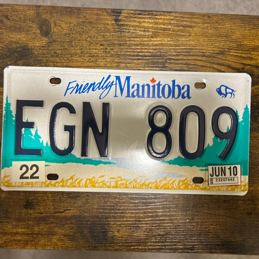 EGN 809