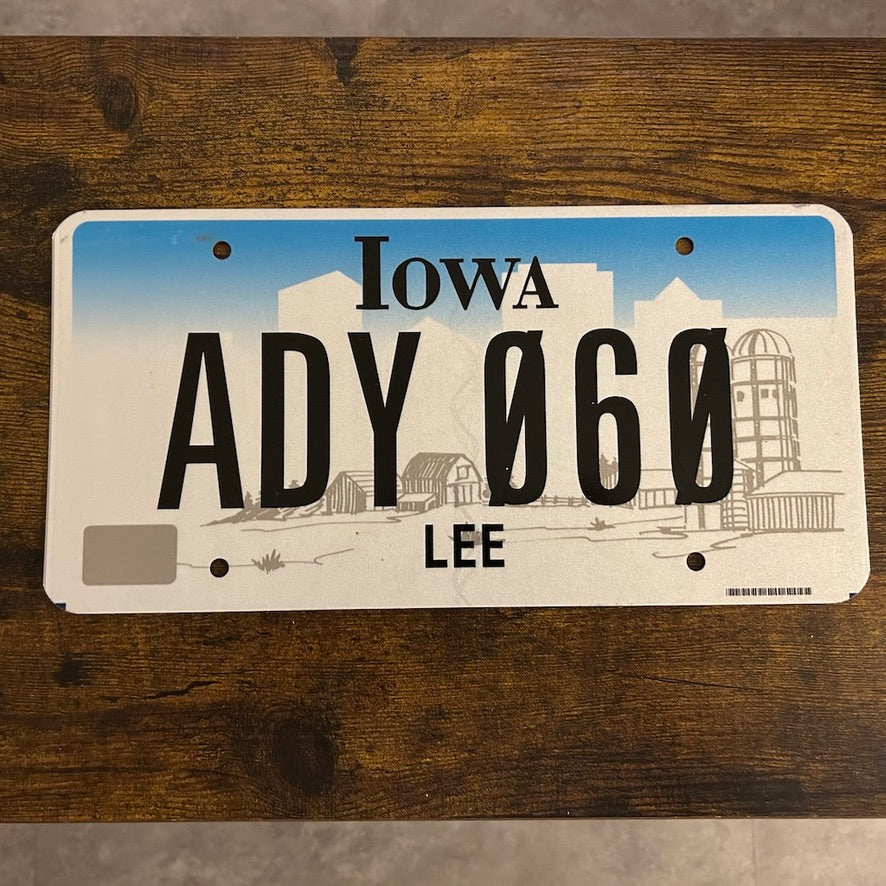 ADY 060