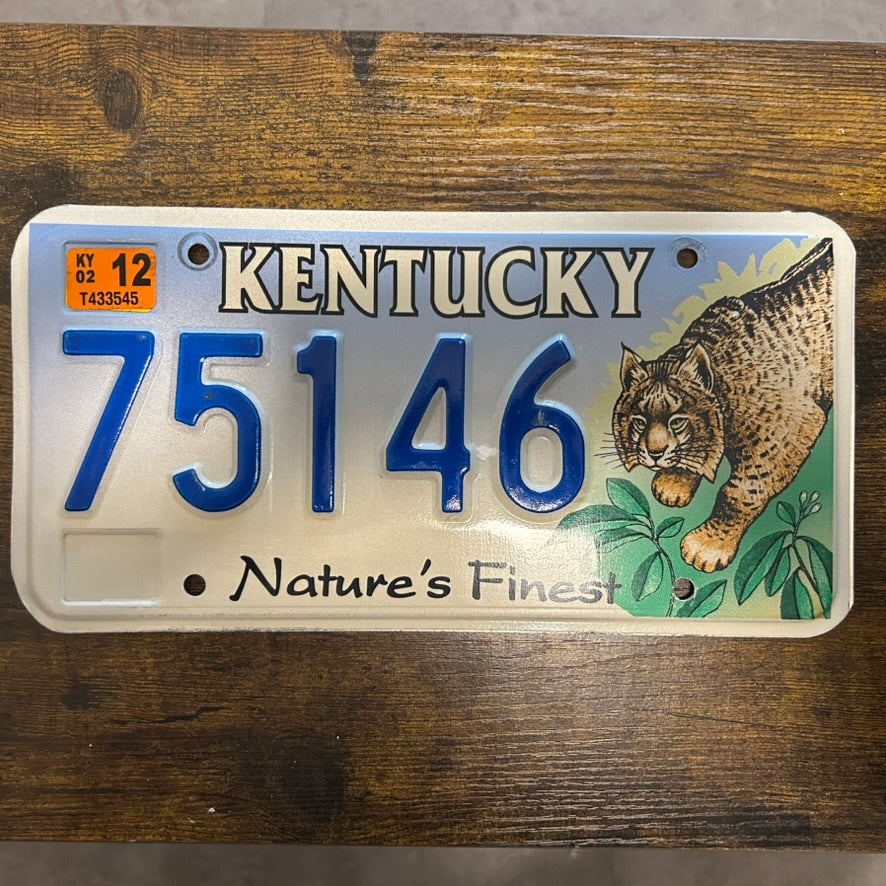 75146