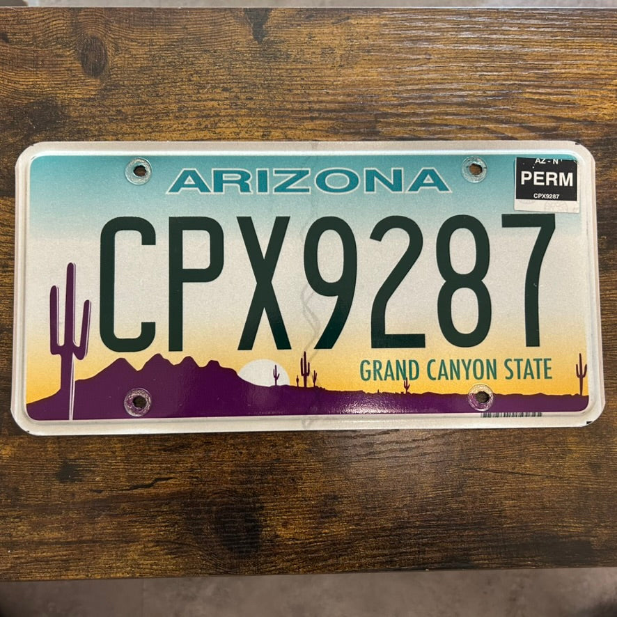 CPX9287