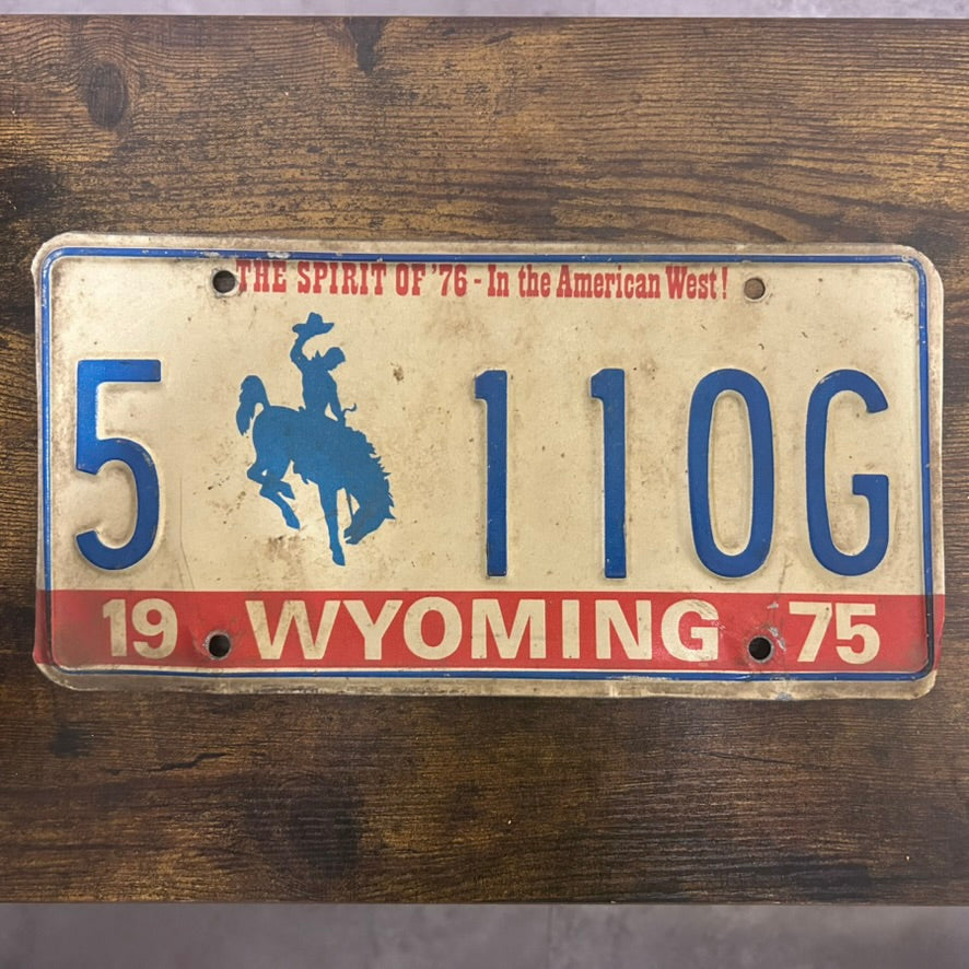 5-110G