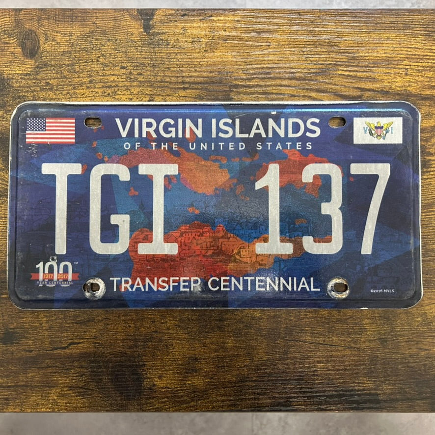 TGI 137