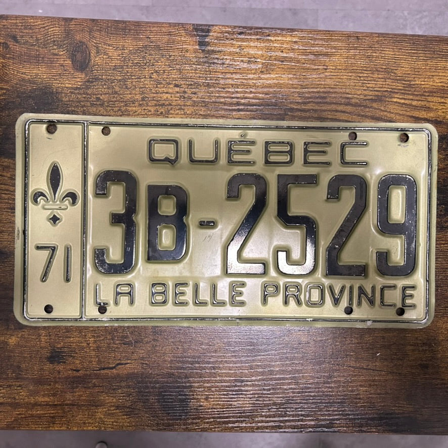 3B-2529