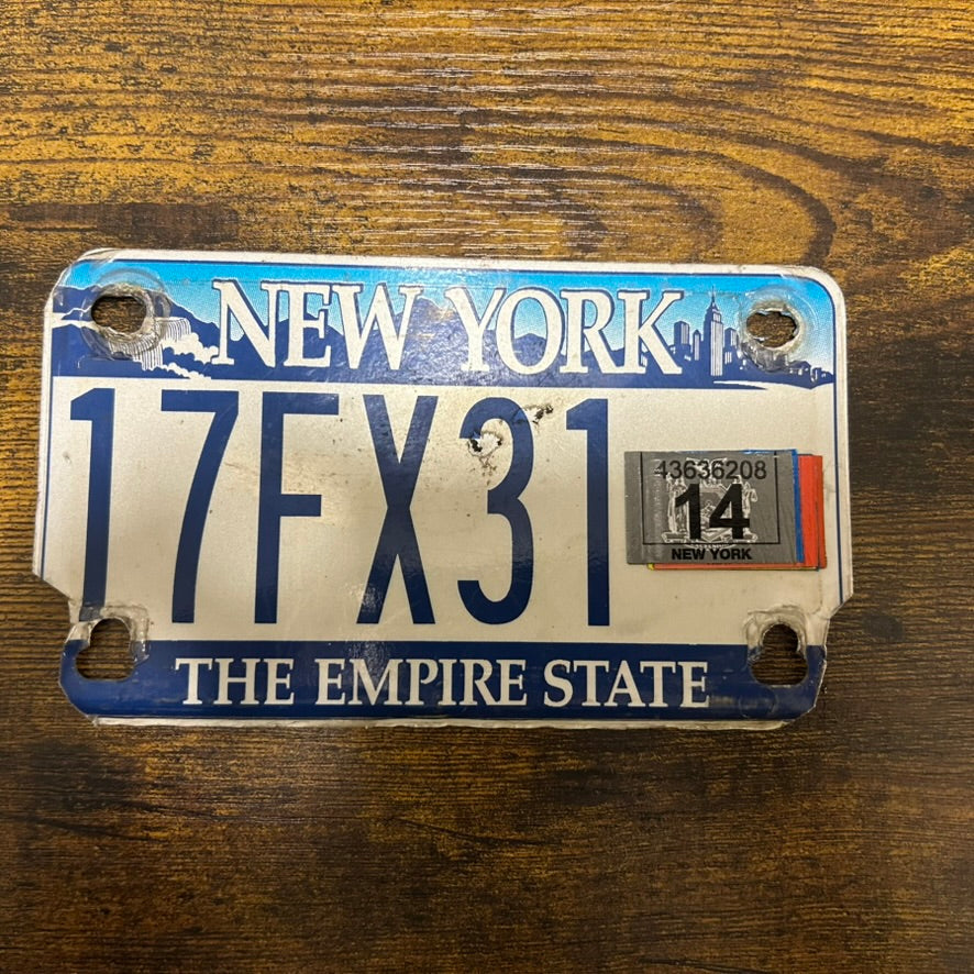 17FX31