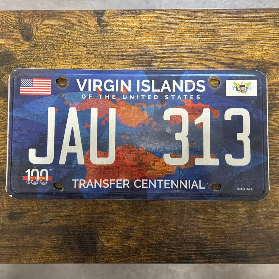 JAU 313