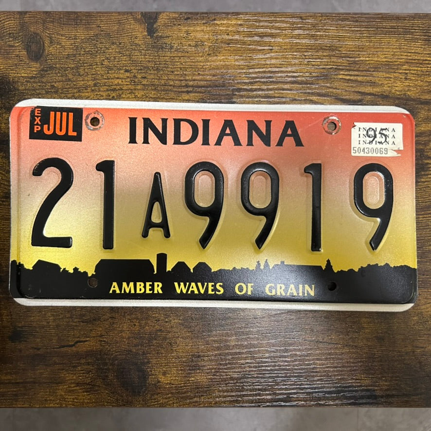 21A9919