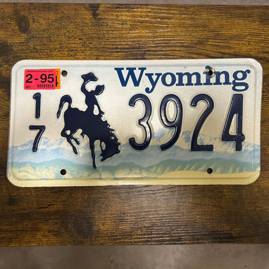 17 3924