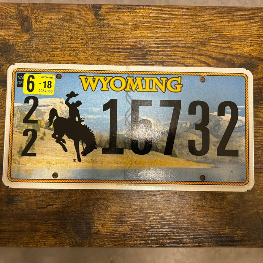 22 15732