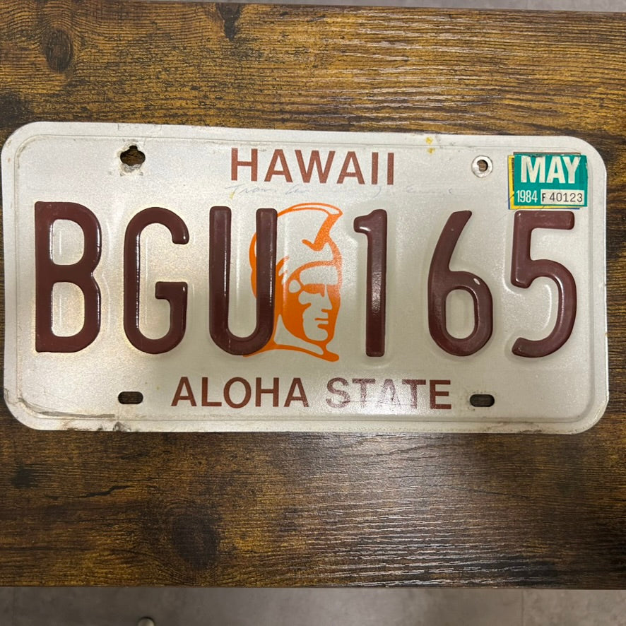 BGU 165