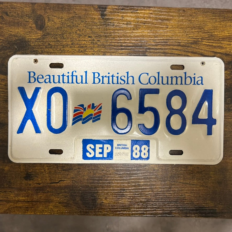 XO-6584