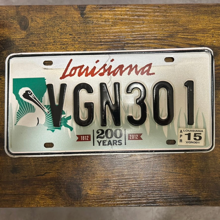 VGN301