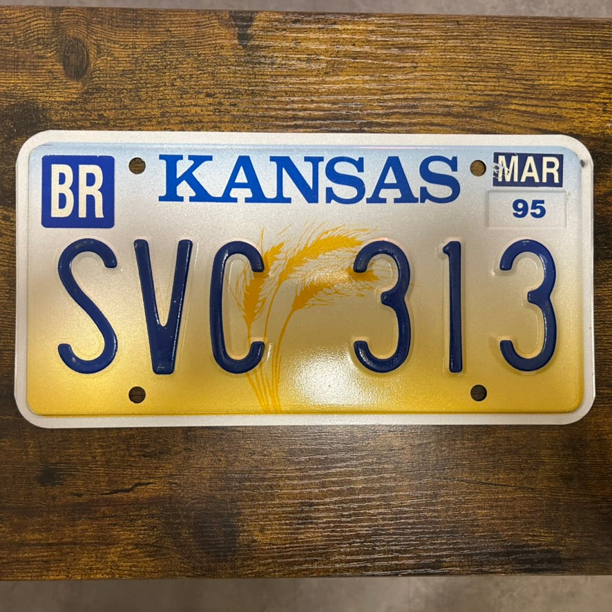 SVC 313