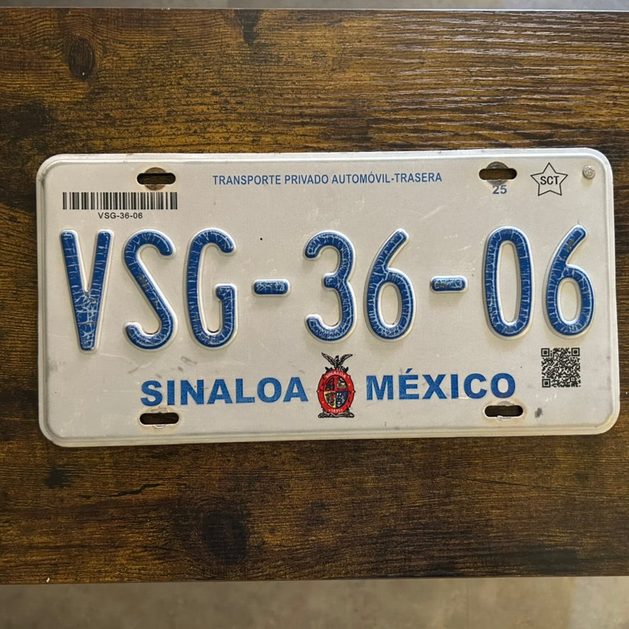 VSG-36-06