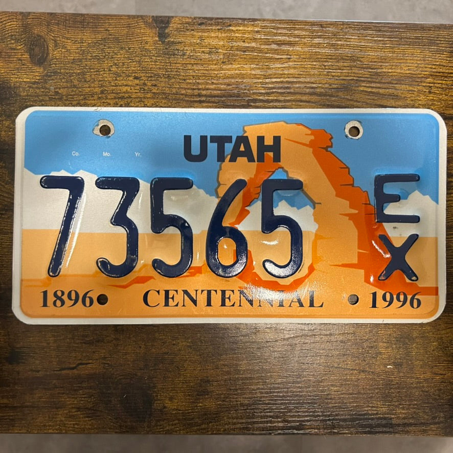 73565