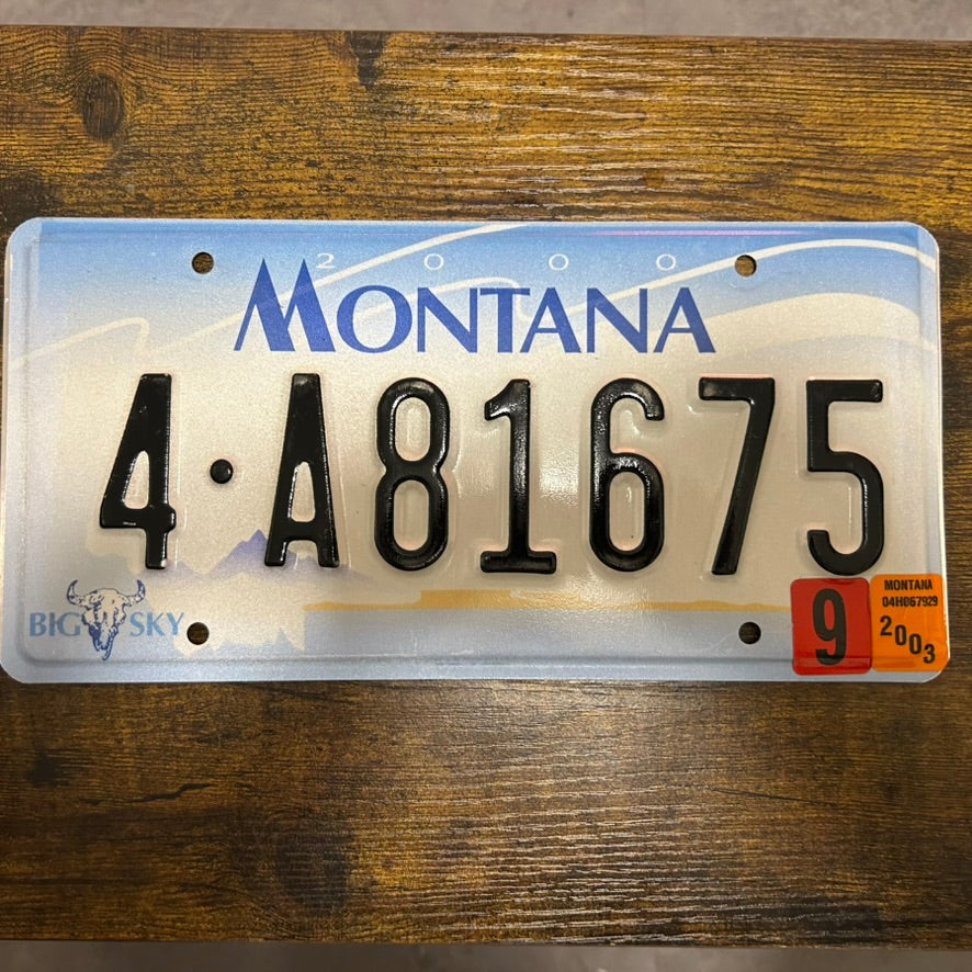 4-A81675