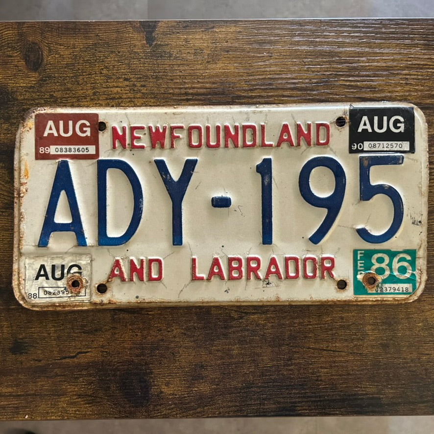 ADY-195
