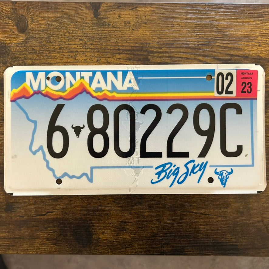 6-80229C