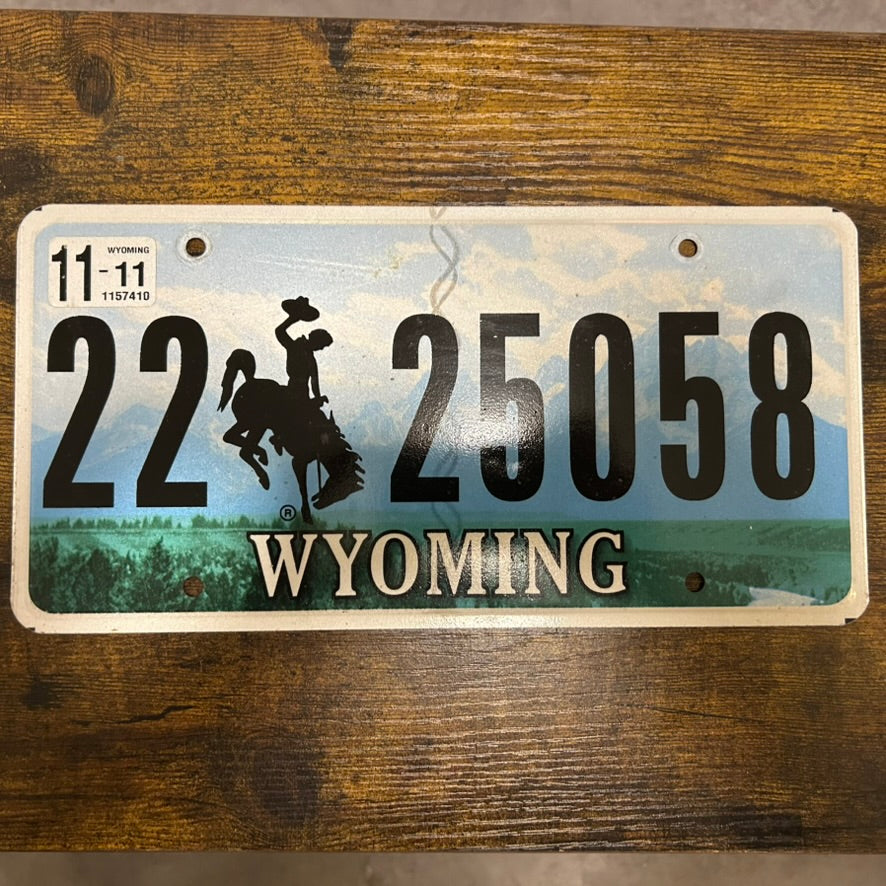 22 25058