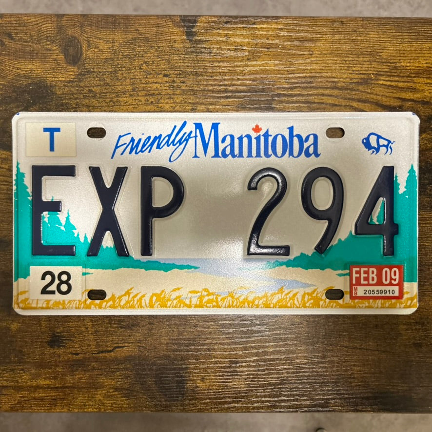 EXP 294