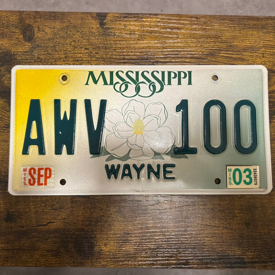 AWV 100